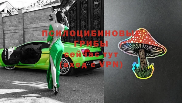 a pvp Сатка