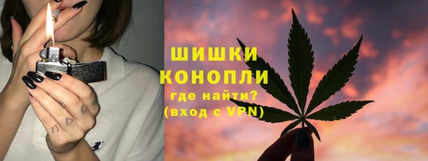 ГАЛЛЮЦИНОГЕННЫЕ ГРИБЫ Сафоново