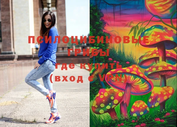 ГАЛЛЮЦИНОГЕННЫЕ ГРИБЫ Сафоново