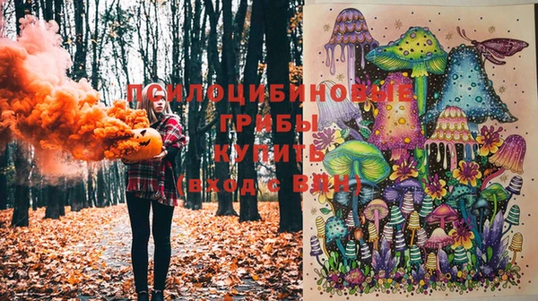jwh Саяногорск
