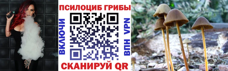 Галлюциногенные грибы мицелий  закладки  MEGA онион  Черепаново 